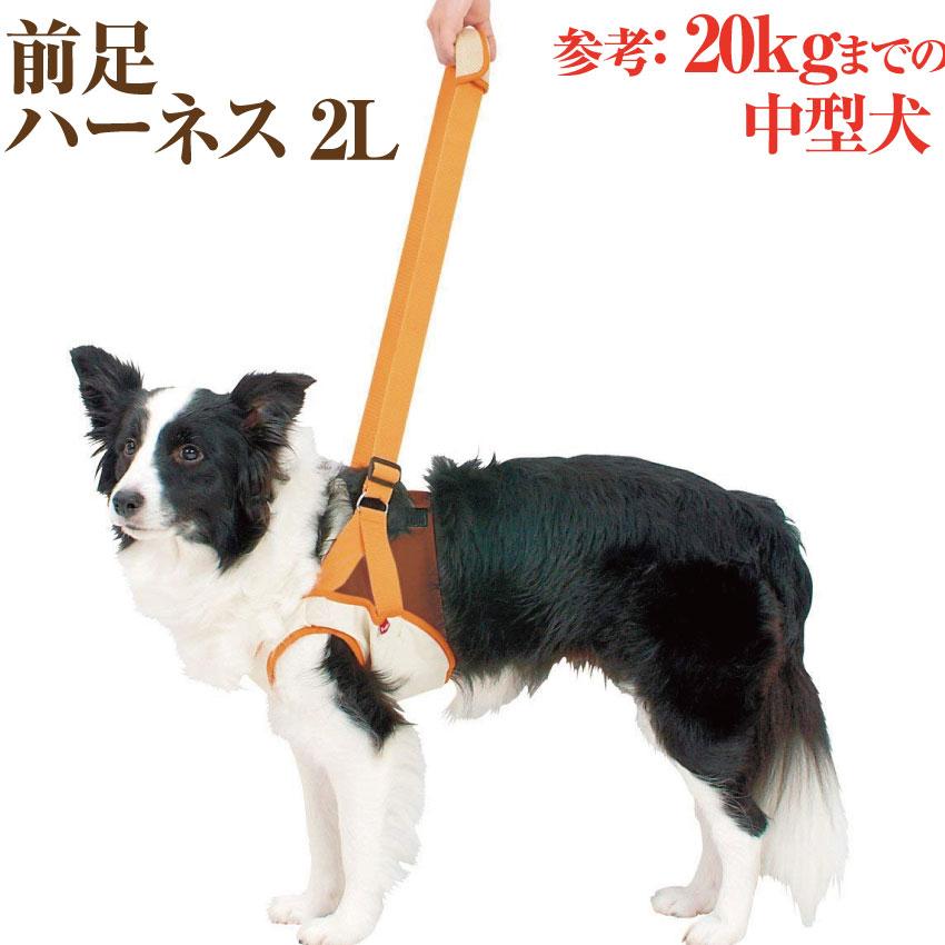 犬 歩行 介護用品 歩行補助 前足 ハーネス 2l 高齢犬 シニア 老犬 犬用 Pf4 犬のご飯とケーキのドッグダイナー 通販 Yahoo ショッピング
