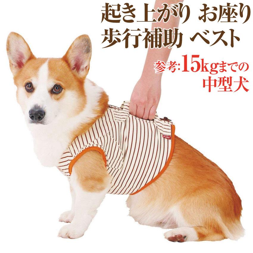 犬 歩行補助 介護用品 ベスト ハーネス L 高齢犬 シニア犬 老犬の為の胴輪 Pv3 犬のご飯とケーキのドッグダイナー 通販 Yahoo ショッピング