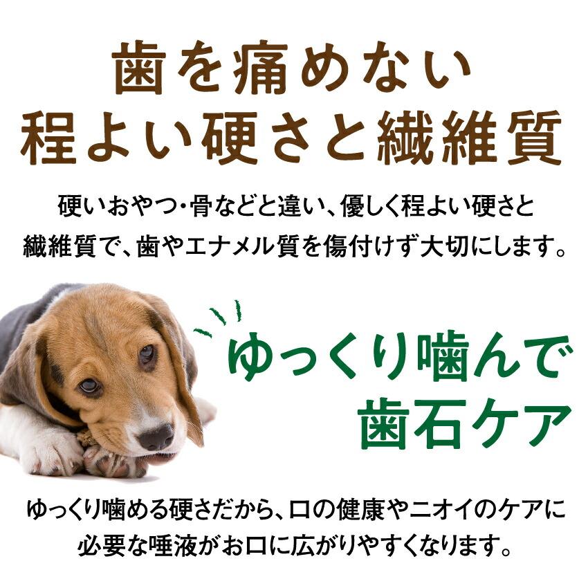 犬 老犬 体力 年齢 サプリメント おやつ セット 老化に良いゴーゴーセット 無添加 高齢犬 シニア 送料無料 Roukagogo 犬のご飯とケーキのドッグダイナー 通販 Yahoo ショッピング