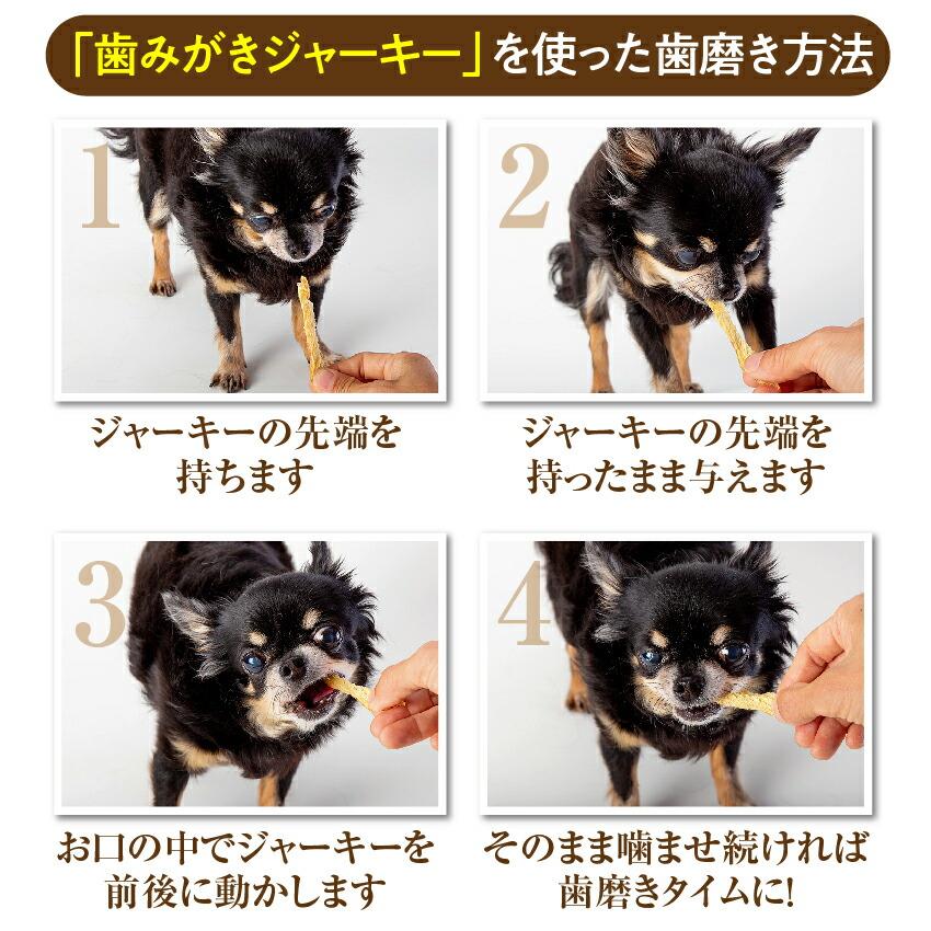 品多く 犬 猫 無添加 おやつ 歯磨き ジャーキー 鱈 ３袋 歯石 歯垢に 国産 通常便 送料無料 Aynaelda Com