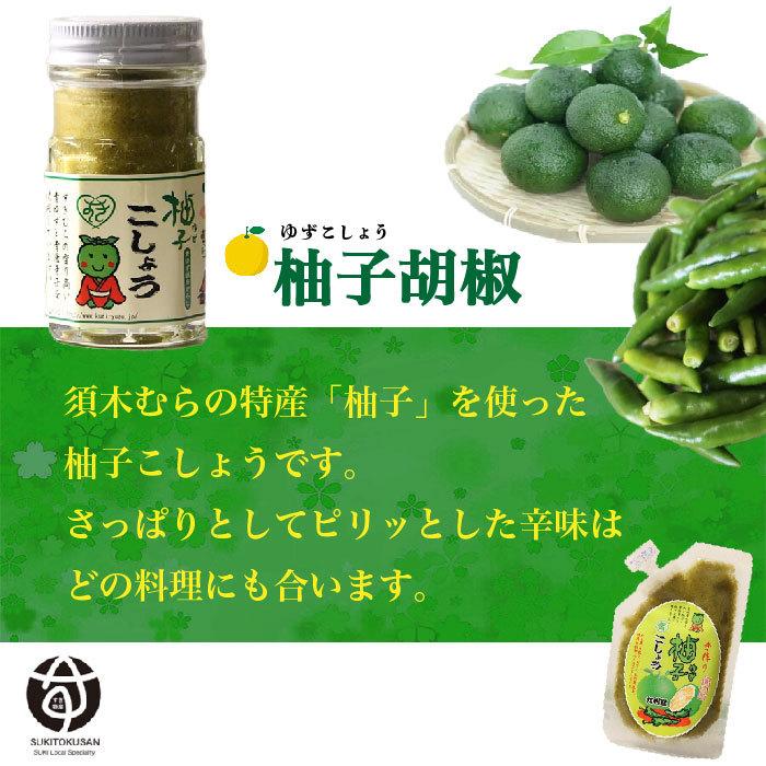 青ゆずこしょう（チューブタイプ）100g 宮崎県産 柚子胡椒 調味料 柑橘