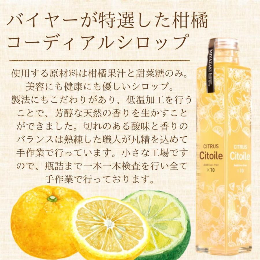 柑橘シロップ 250g×2本 40杯 シトラスシトワール 宮崎県産 無 柑橘シロップ 250g×2本 40杯 シトラスシトワール 宮崎県産 無