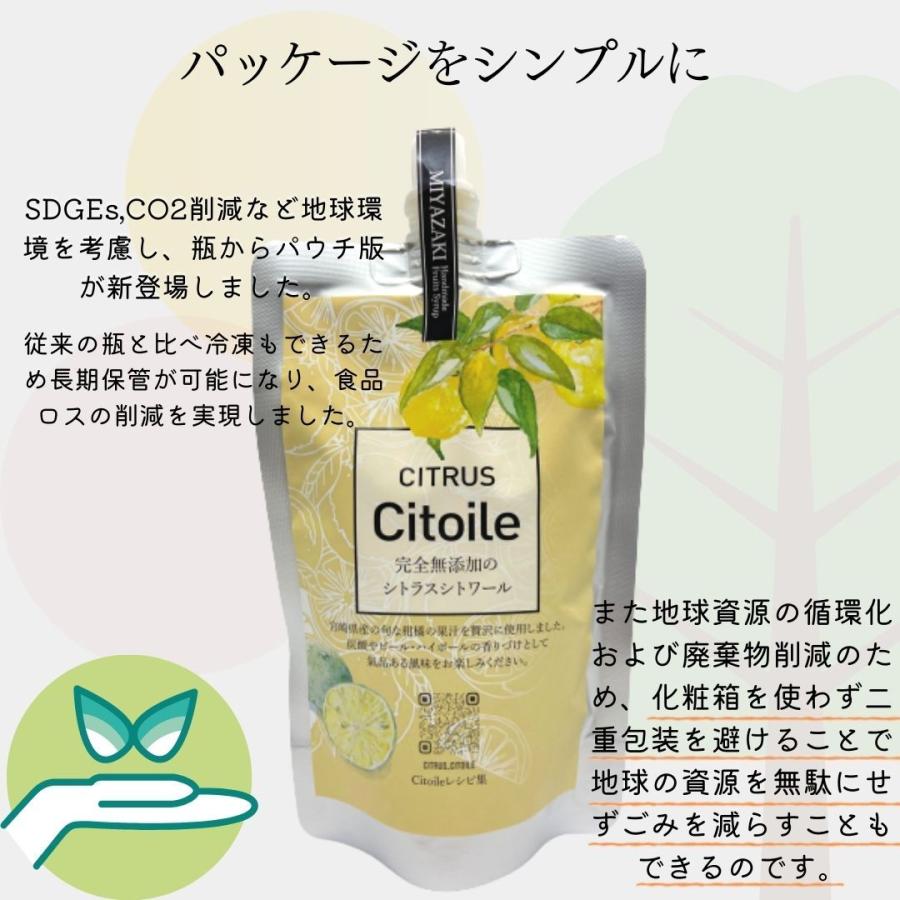 柑橘シロップ 250g×2本 40杯 シトラスシトワール 宮崎県産 無 柑橘シロップ 250g×2本 40杯 シトラスシトワール 宮崎県産 無