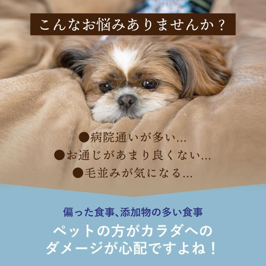 ドッグフード ドライフード 馬肉 鶏肉 野菜 750g 国産 無添加 小型犬 成犬 シニア犬 ドッグフード工房 :4570060046110: ドッグフード工房Yahoo!店 - 通販 - Yahoo!ショッピング ドッグフード ドライフード 馬肉 鶏肉 野菜 750g 国産 無添加 小型犬 成犬 シニア犬 ドッグフード工房 :4570060046110: ドッグフード工房Yahoo!店 - 通販 - Yahoo!ショッピング