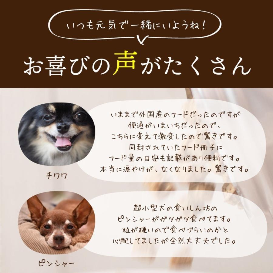 ドッグフード ドライフード 馬肉 鶏肉 野菜 300g 小粒 無添加 最大86 オフ ドッグフード工房 小型犬 国産 成犬 シニア犬 5袋セット