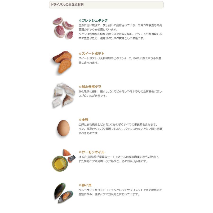 トライバル フレッシュダック 5kg : DOGGLITTER - 通販 - Yahoo