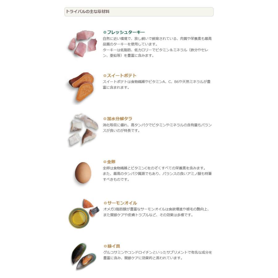 トライバル フレッシュターキー 12kg : DOGGLITTER - 通販 - Yahoo