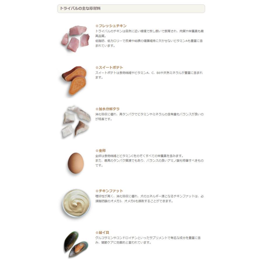 トライバル フレッシュチキン 12kg : DOGGLITTER - 通販 - Yahoo