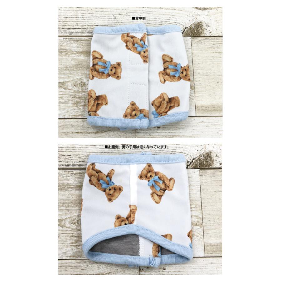 クークチュール スーパークール クール Coocouture Supercool Coolplus22 ディディベア22ベルクロテラバンドboy 中型犬 小型犬 春夏 男の子用 腹巻 お求めやすく価格改定 ディディベア22ベルクロテラバンドboy