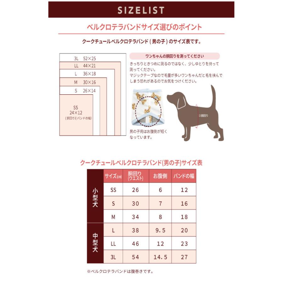 クークチュール スーパークール クール Coocouture Supercool Coolplus22 ディディベア22ベルクロテラバンドboy 中型犬 小型犬 春夏 男の子用 腹巻 お求めやすく価格改定 ディディベア22ベルクロテラバンドboy