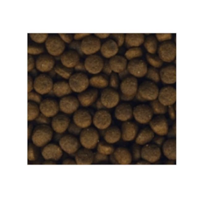 ケンネルズフェイバリット プチシニア 1.5kg ドッグフード 犬用 シニア 