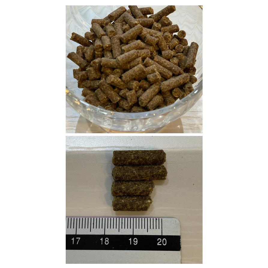ケンネルズフェイバリット コールドプレス プティ 5kg ドッグフード 犬