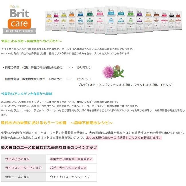 ブリット ケア グレインフリー シニア＆ライト 12kg Britドッグフード