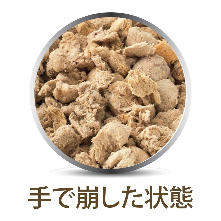 フィーラインナチュラル 猫用 フリーズドライ チキン＆キングサーモン