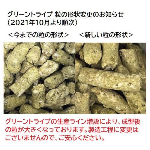 K9ナチュラル ラムグリーントライプ 200g×2袋セット（100％ナチュラル生食 補助食 プロバイオティクス K9Natural K010set2)｜doghills｜05