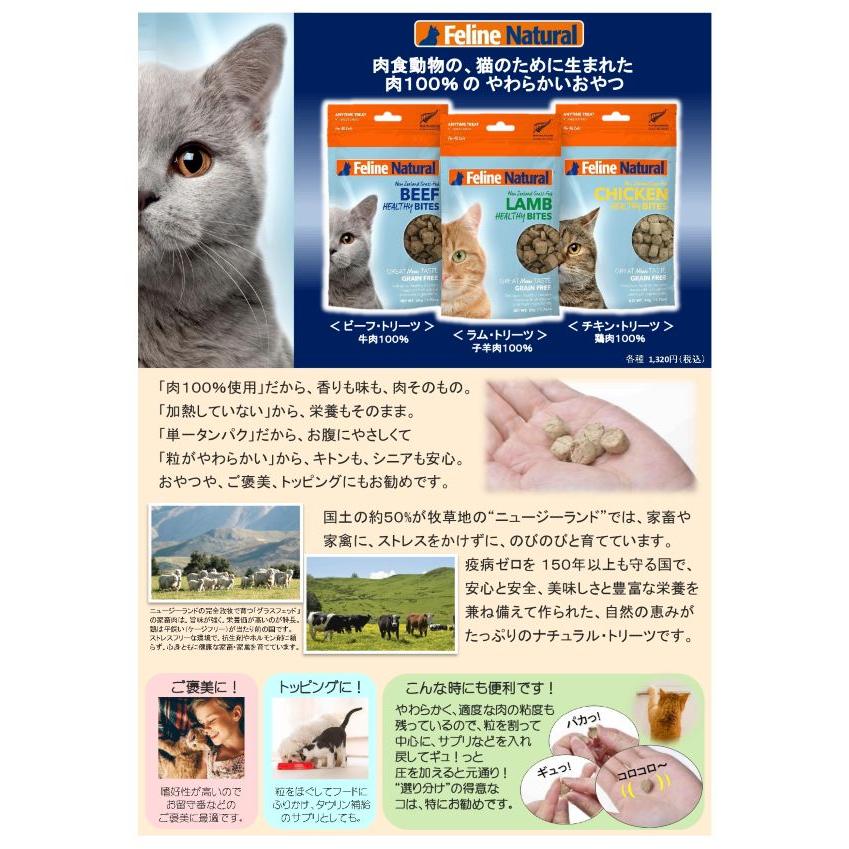 フィーラインナチュラル フリーズドライ 猫用 チキントリーツ 50g（100