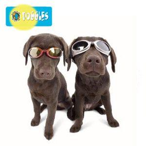 Doggles (ドグルス）】Chrome Frame/Smoke Lens （ILS2犬用ゴーグル