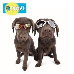 Doggles (ドグルス）】Silver ILS2 Doggles （ILS2犬用ゴーグル