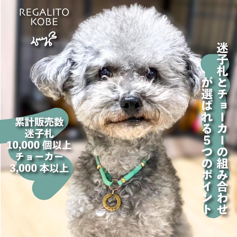 チョーカー 犬 猫 迷子札 名入れ ネームタグ 迷子札のためのチョーカー