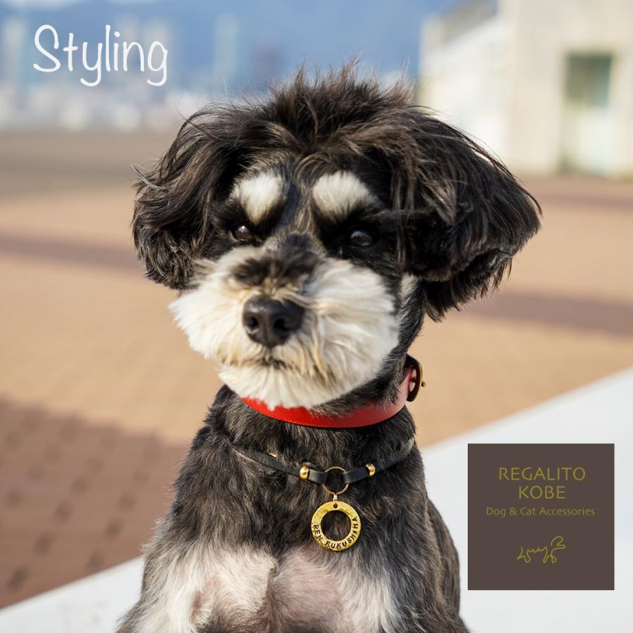 チョーカー 犬 猫 迷子札 名入れ ネームタグ 迷子札のためのチョーカー