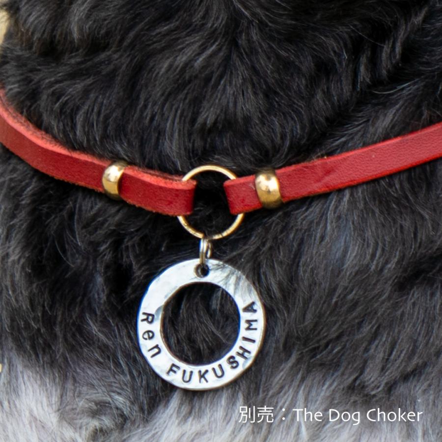 シンプルなリング型の迷子札 リング・プレート 日本製 犬猫用 おしゃれ