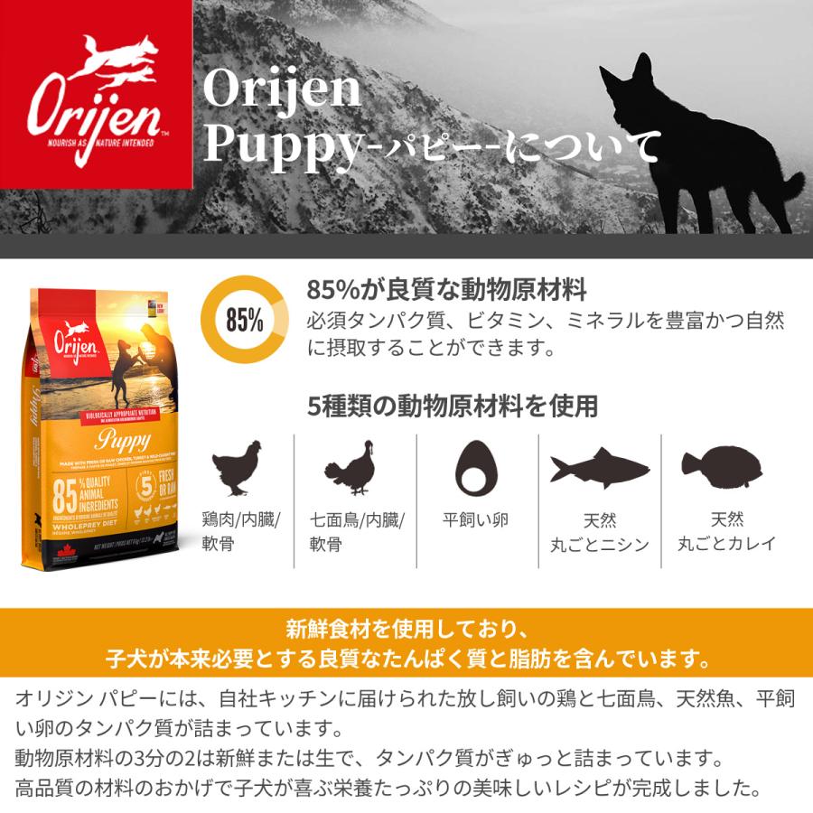 (選べるプレゼント付き) オリジン パピー 6kg｜dogparadise-2｜03