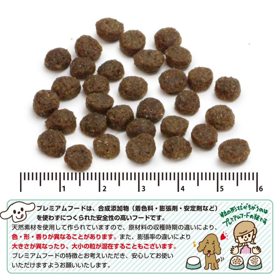 (選べるプレゼント付き) パーフェクション ドライフード サーモン 小粒 6kg【原産国イタリアに変更済】｜dogparadise-2｜02