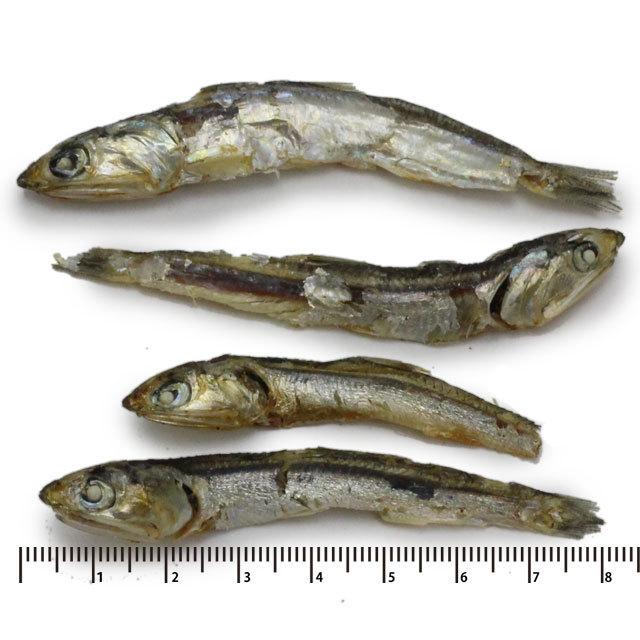 匠の逸品 いりこ お徳用 1g 犬用 犬用おやつ 犬のおやつ 犬 おやつ 犬オヤツ 魚 煮干し ドッグパラダイスぷらすニャン別館 通販 Yahoo ショッピング