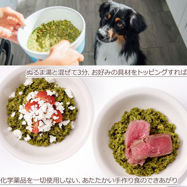 オネストキッチン グレインフリー ターキーレシピ 900g 犬 ペット フード パピー 子犬 成犬 アダルト 高齢犬 シニア グレインフリー 穀物不使用 ドッグパラダイスぷらすニャン別館 通販 Yahoo ショッピング