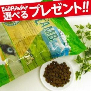 安いそれに目立つ アディクション ル ラム グレインフリー ドッグフード 15kg アレルギー対応 皮膚トラブル ドライフード 全犬 超大特価 Southpointbd Com