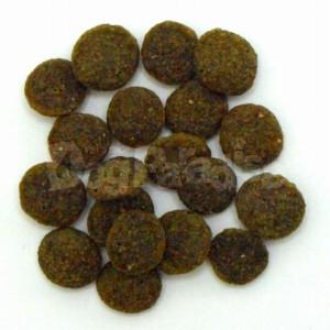 安いそれに目立つ アディクション ル ラム グレインフリー ドッグフード 15kg アレルギー対応 皮膚トラブル ドライフード 全犬 超大特価 Southpointbd Com