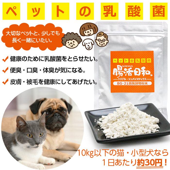 ペット用 サプリメント 腸活日和 30g 6個セット 大型犬で180日分 犬 猫 サプリ 乳酸菌 ビフィズス菌 Bg21菌 口臭予防 粉末 Set ドッグパラダイスぷらすニャン別館 通販 Yahoo ショッピング