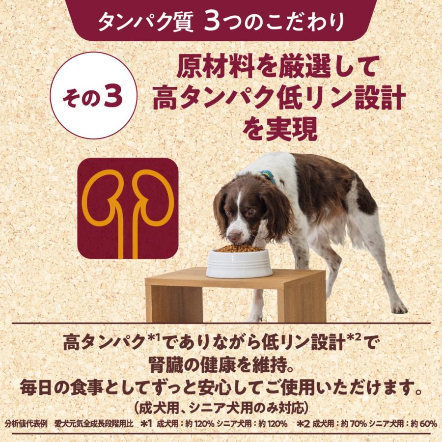 選べるプレゼント付き フィジカライフ Physicalife シニア犬用 チキン 大豆入り 2kg ユニチャーム ユニ チャーム 総合栄養食 ドッグパラダイスぷらすニャン 通販 Yahoo ショッピング