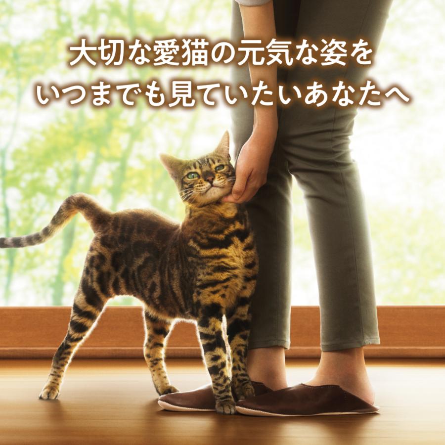 Physicalife フィジカライフ (Physicalife) 室内猫用 チキン入り Physicalife フィジカライフ (Physicalife) 室内猫用 チキン入り