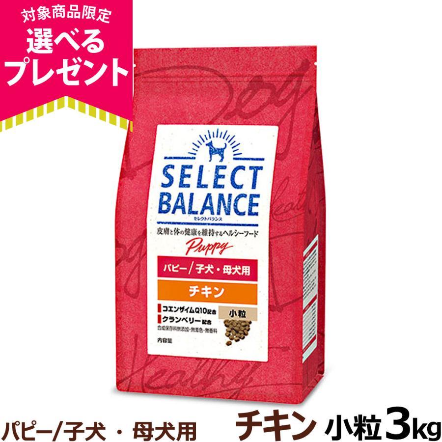 (選べるプレゼント付き)セレクトバランス パピー チキン 小粒 3kg 犬 子犬 母犬 ドライ 生後1才未満（Yahoo!・ドッグパラダイスぷらすニャン）