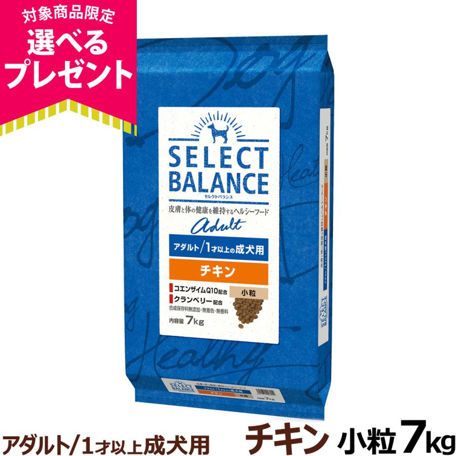 (選べるプレゼント付き)セレクトバランス アダルト チキン 小粒 7kg 成犬 1才以上成犬 犬 ドッグフードドライ（Yahoo!・ドッグパラダイスぷらすニャン）