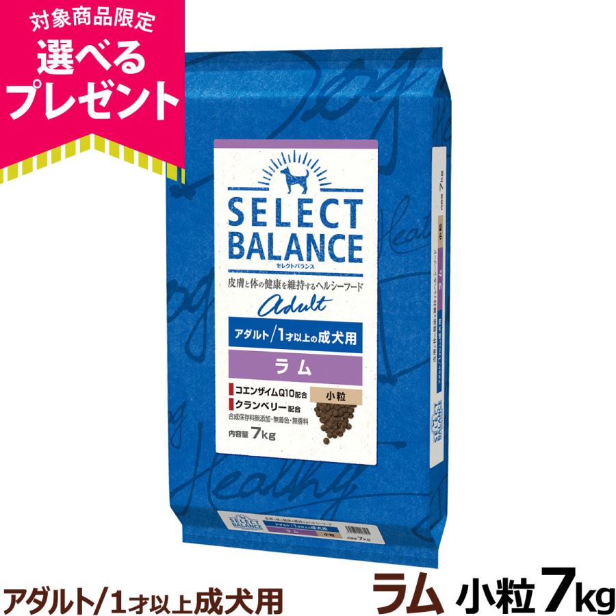 (選べるプレゼント付き)セレクトバランス アダルト ラム 小粒 7kg 成犬 羊肉 1才以上成犬 犬 ドッグフードドライ 低脂肪 爆買（Yahoo!・ドッグパラダイスぷらすニャン）