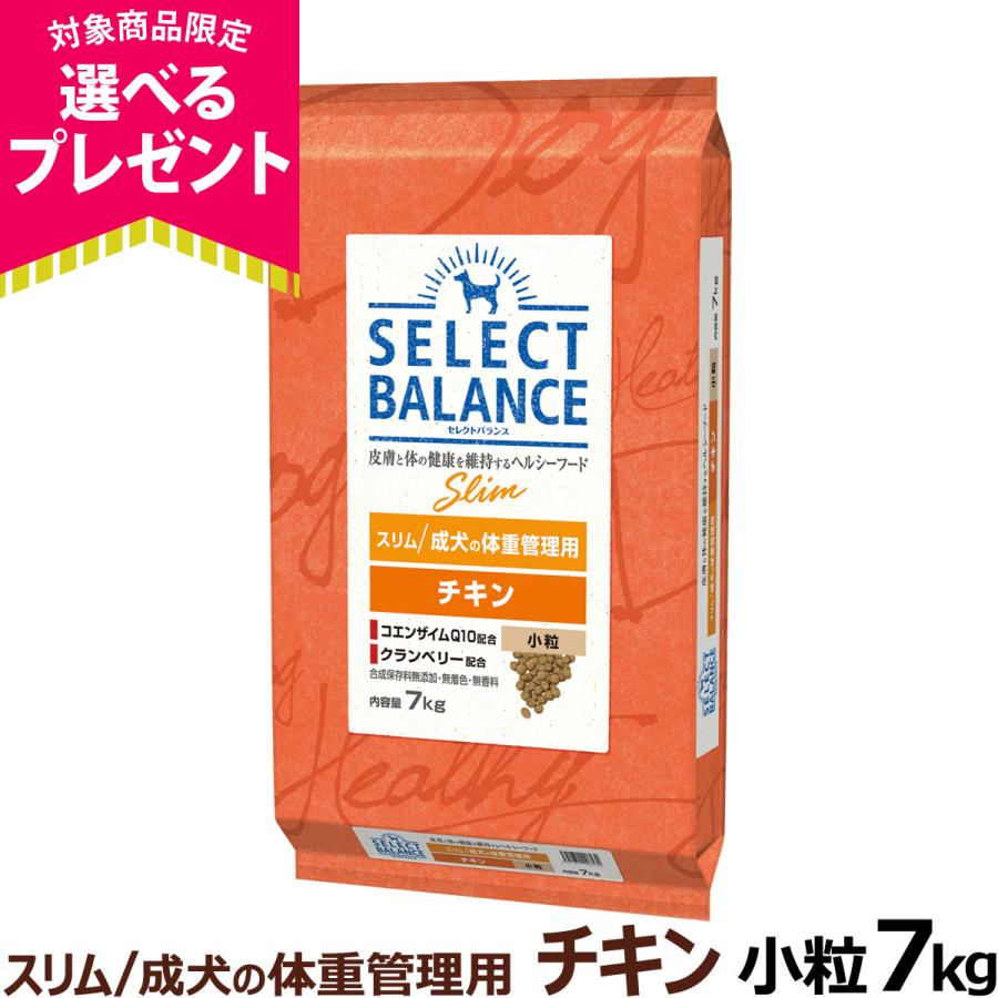 (選べるプレゼント付き)セレクトバランス スリム チキン 小粒 7kg 成犬 1才以上成犬 減量 ダイエット 避妊 去勢 犬（Yahoo!・ドッグパラダイスぷらすニャン）