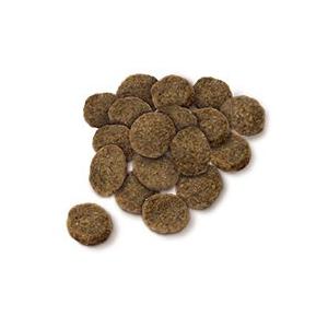 (選べるプレゼント付き) セレクトバランス ドッグフード エイジングケア チキン小粒 7kg 低脂肪 高齢犬 ヘルシーフード|ドッグパラダイスぷらすニャン|01