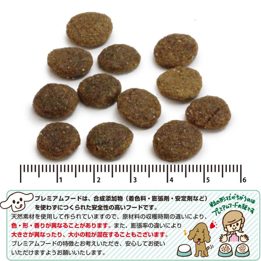 (選べるプレゼント付き) パーフェクション ドライフード サーモン 大粒 6kg【原産国イタリアに変更済】｜dogparadise｜02