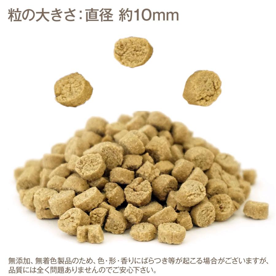 Smiley（ペット用品） (選べるプレゼント付き)スマイリー Smiley 国産 