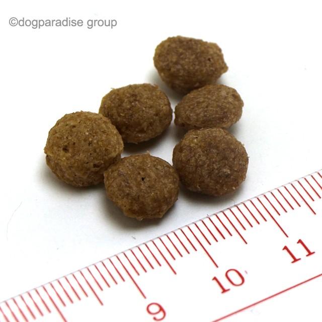 アーガイルディッシュ グレヴィレアアダル800g✖️5袋 ドッグフード