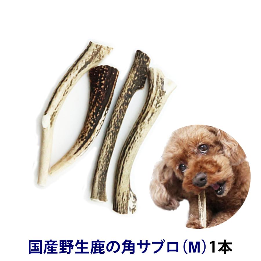 ワンちゃん用の硬いおもちゃ 国産野生鹿の角サブロ(M)1本 追跡 ワンちゃん用の硬いおもちゃ 国産野生鹿の角サブロ(M)1本 追跡