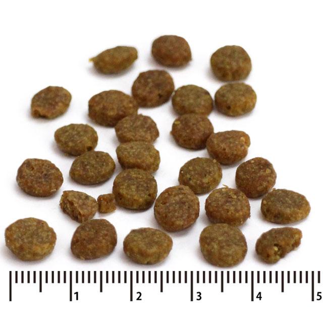 選べるプレゼント付き) ブリスミックス グレインフリー サーモン小粒