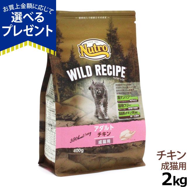 ニュートロ ワイルドレシピ キャット キトン チキン 子猫2kg お取り寄せ キャット 穀物フリー :4902397845560:ドッグパラダイスぷらすニャン - 通販 - Yahoo!ショッピング ニュートロ ワイルドレシピ キャット キトン チキン 子猫2kg お取り寄せ キャット 穀物フリー :4902397845560:ドッグパラダイスぷらすニャン - 通販 - Yahoo!ショッピング