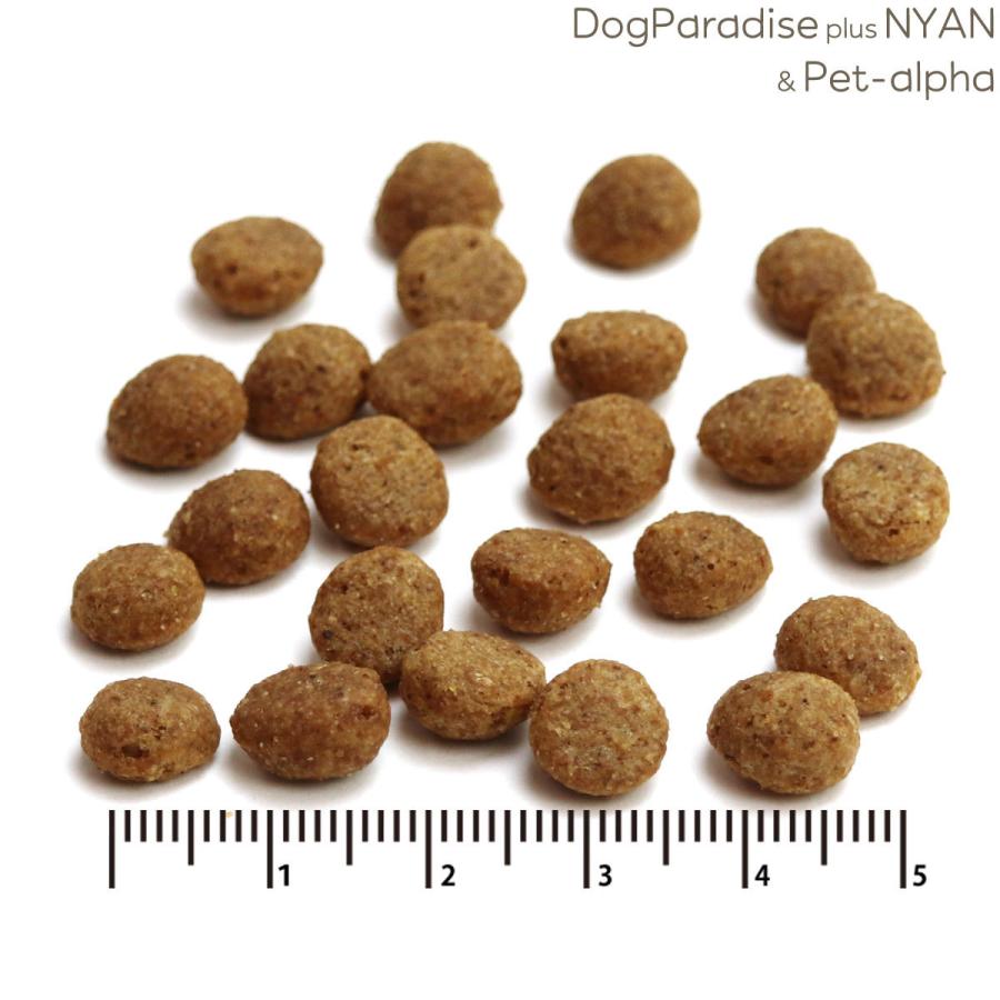 (選べるプレゼント付き) プロフェッショナルバランス アレルゲンケア&pHコントロール 1歳から成犬 3kg 犬 アレルギー ドッグフード ドライフード 国産|ドッグパラダイスぷらすニャン|01