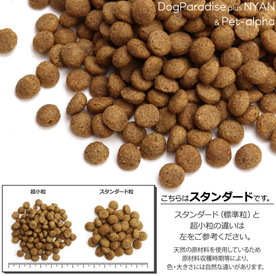 (選べるプレゼント付き) プロフェッショナルバランス アレルゲンケア&pHコントロール 1歳から成犬 3kg 犬 アレルギー ドッグフード ドライフード 国産|ドッグパラダイスぷらすニャン|02