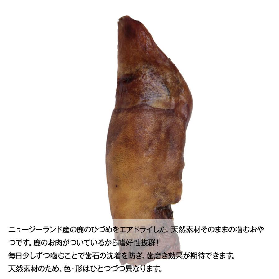 ハレマエ Haere Maiデンタルフフ 鹿のひづめ 1ピース ドッグパラダイスぷらすニャン 通販 Paypayモール