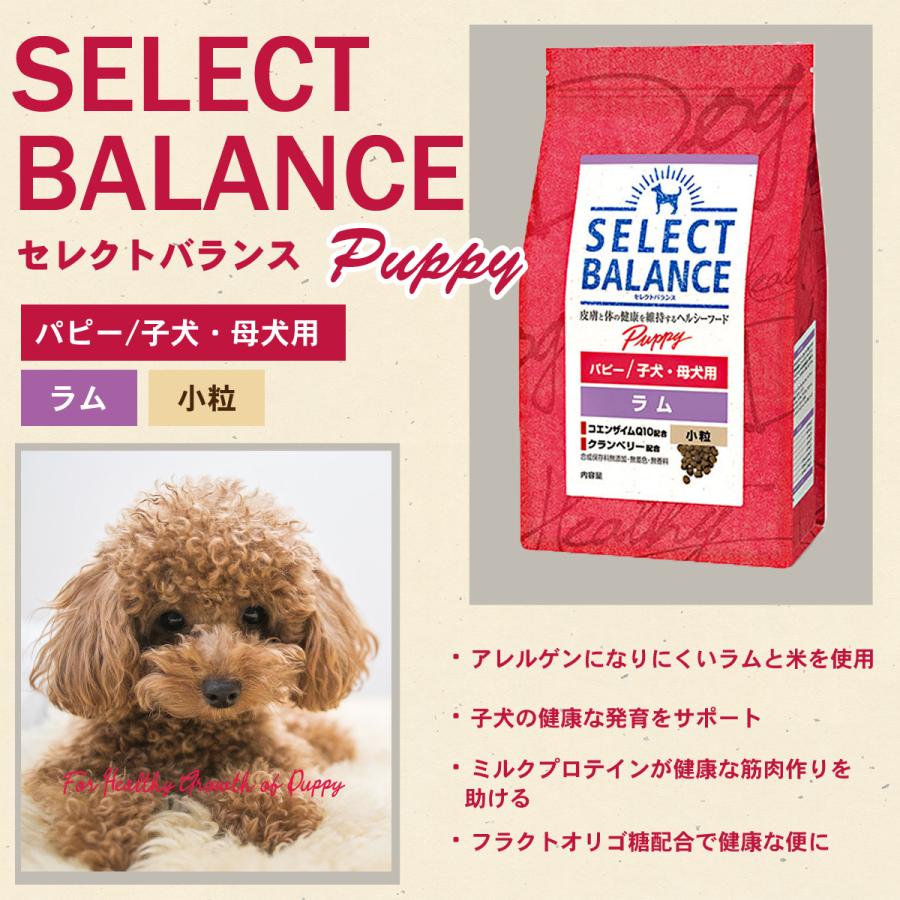 セレクトバランス（ラム）子犬.母犬用 18.14kg-