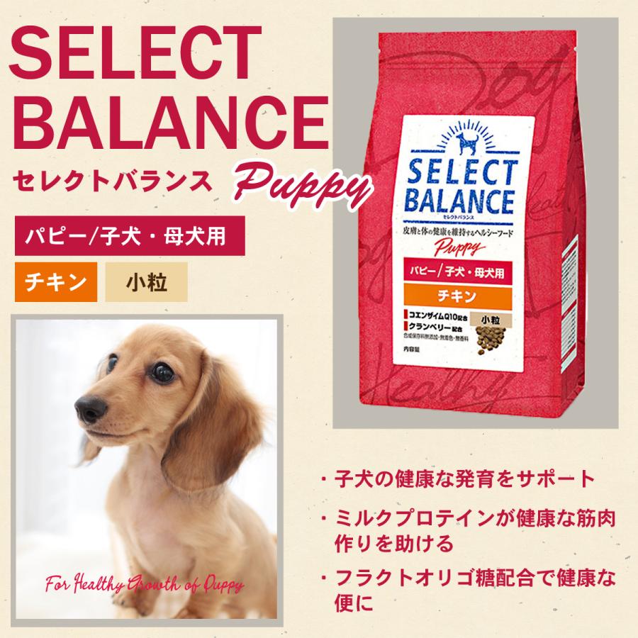 セレクトバランス ドッグフード パピーチキン 小粒7kg 国産無添加さかなのおやつ 幼犬 妊娠 授乳期の母犬 低脂肪 Dset ドッグパラダイスぷらすニャン 通販 Yahoo ショッピング